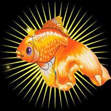 Схема вышивки «золотая рыбка»