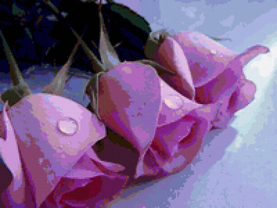 розочки - предпросмотр