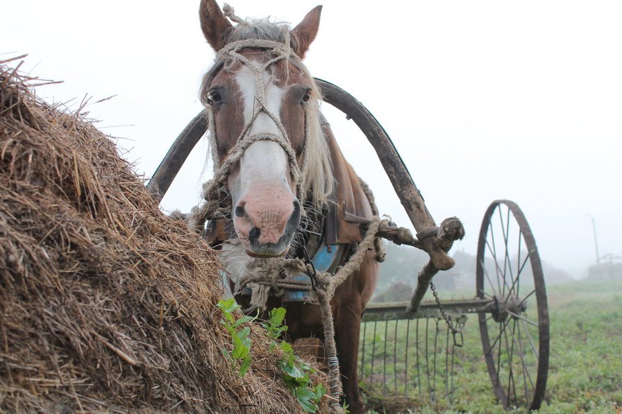 №108625 - оригинал