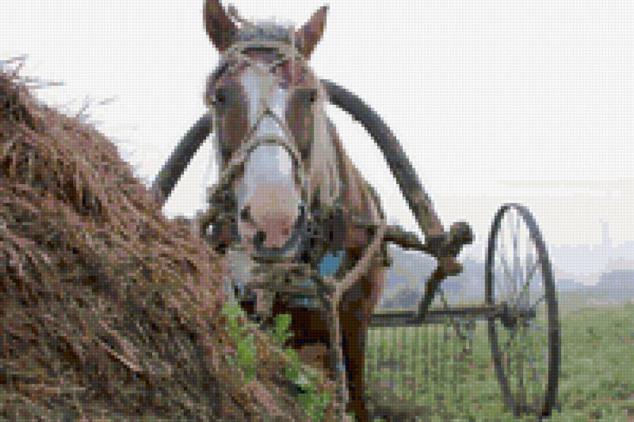 №108625 - предпросмотр