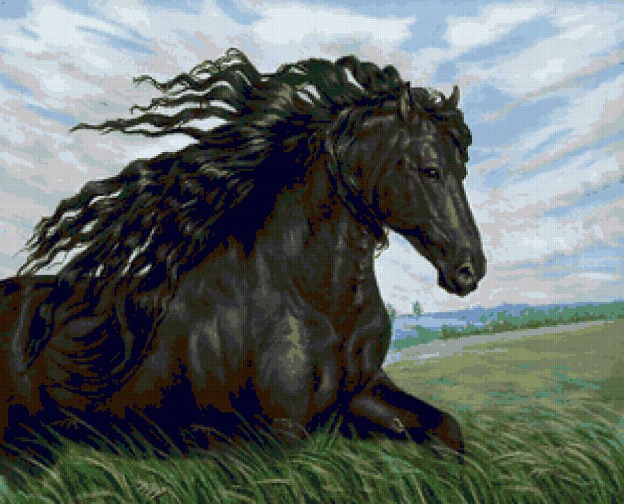Красавец - лошади, животные, кони, небо, природа, лошадки, конь - предпросмотр