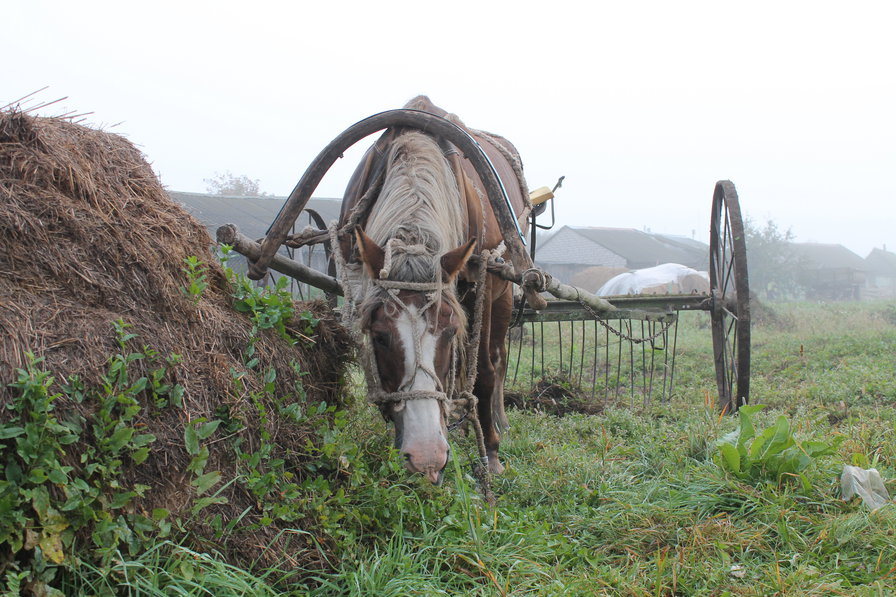 №108632 - оригинал