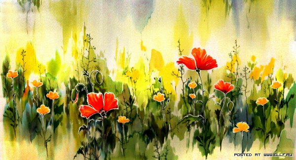 полевые цветы - оригинал