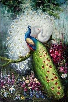 павлины - оригинал