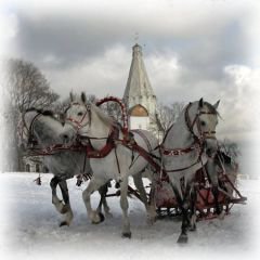 тройка - снег, сани, лошади, животные, упряжка, зима - оригинал