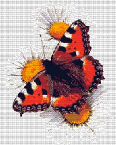 583 - бабочки - оригинал