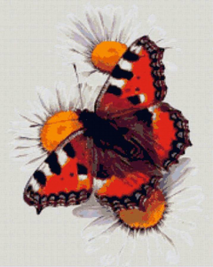 583 - бабочки - предпросмотр