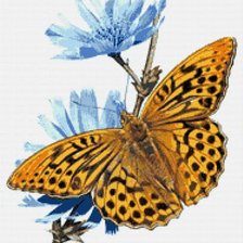 Схема вышивки «584»