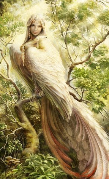 Сирин - сказка, птица, фэнтези, девушка, мифология - оригинал