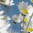 Предпросмотр схемы вышивки «Ромашки» (№109570)