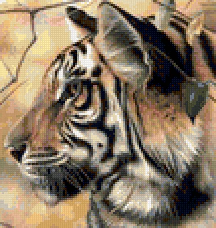 Тигр - природа, животные - предпросмотр