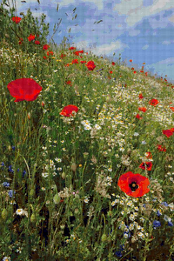 №109888 - предпросмотр