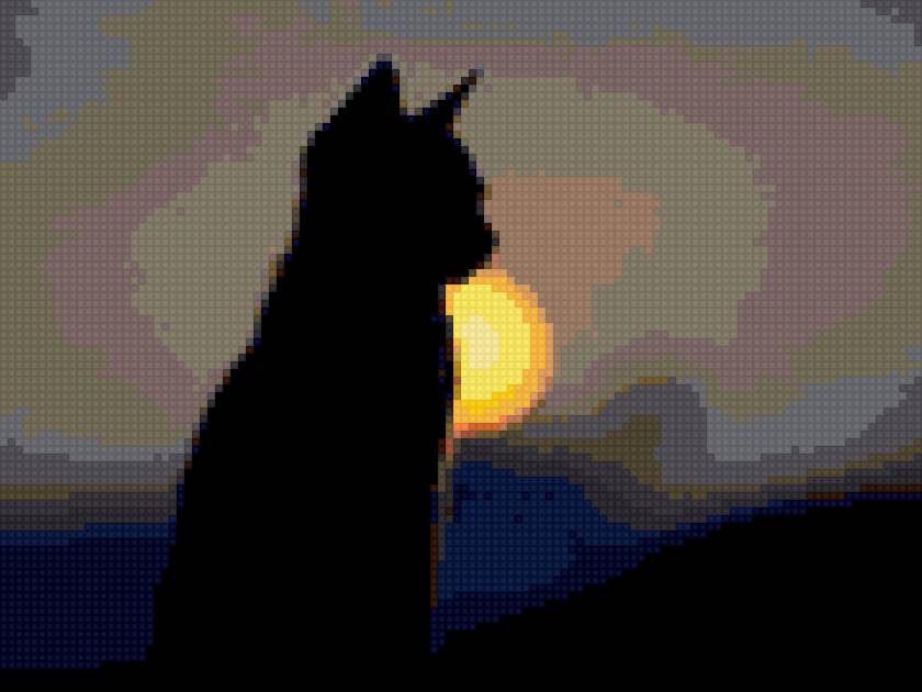 Кот - друг, дружба, мило, кот, закат - предпросмотр