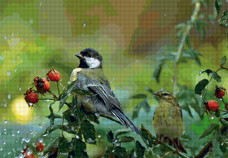 Птицы - природа - предпросмотр