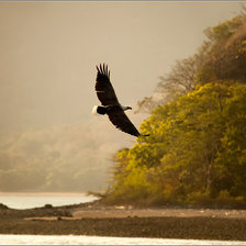 Схема вышивки «полёт»