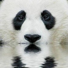 Схема вышивки «Панда»