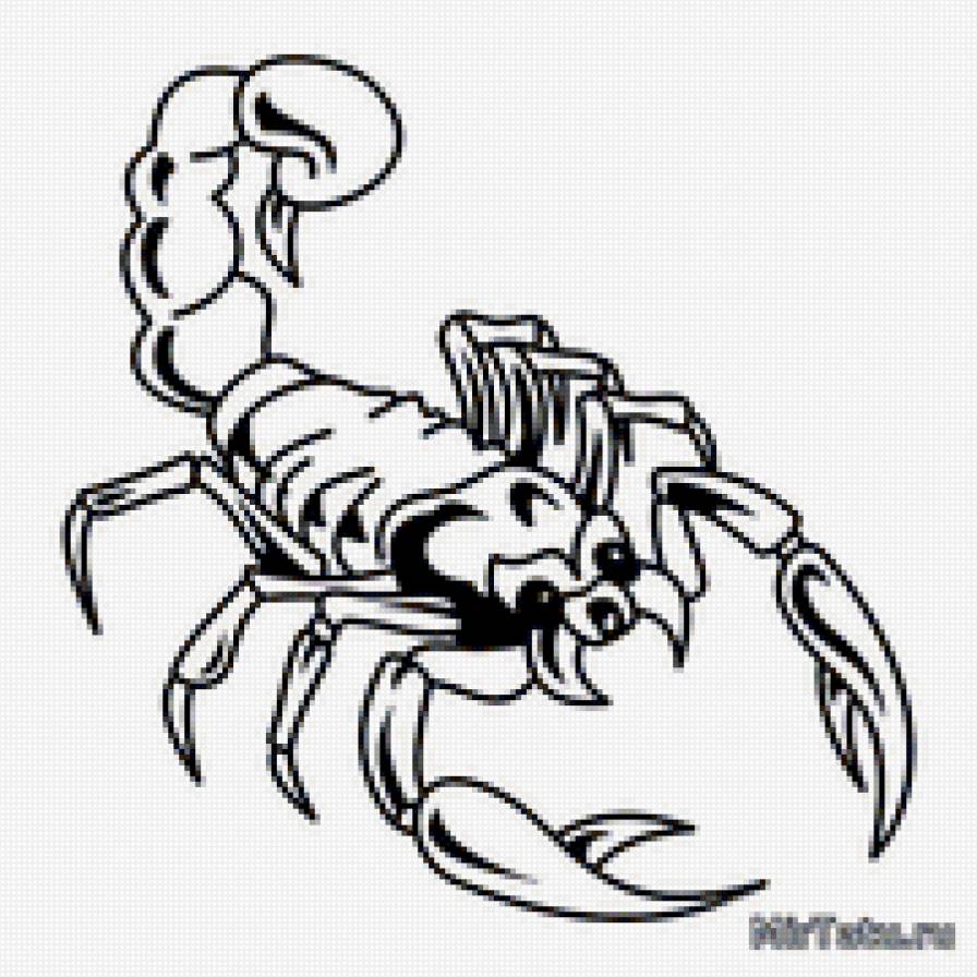 Скорпион - предпросмотр