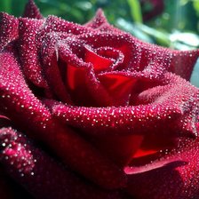 Схема вышивки «№110411»