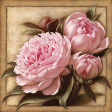 Схема вышивки «пиончики»