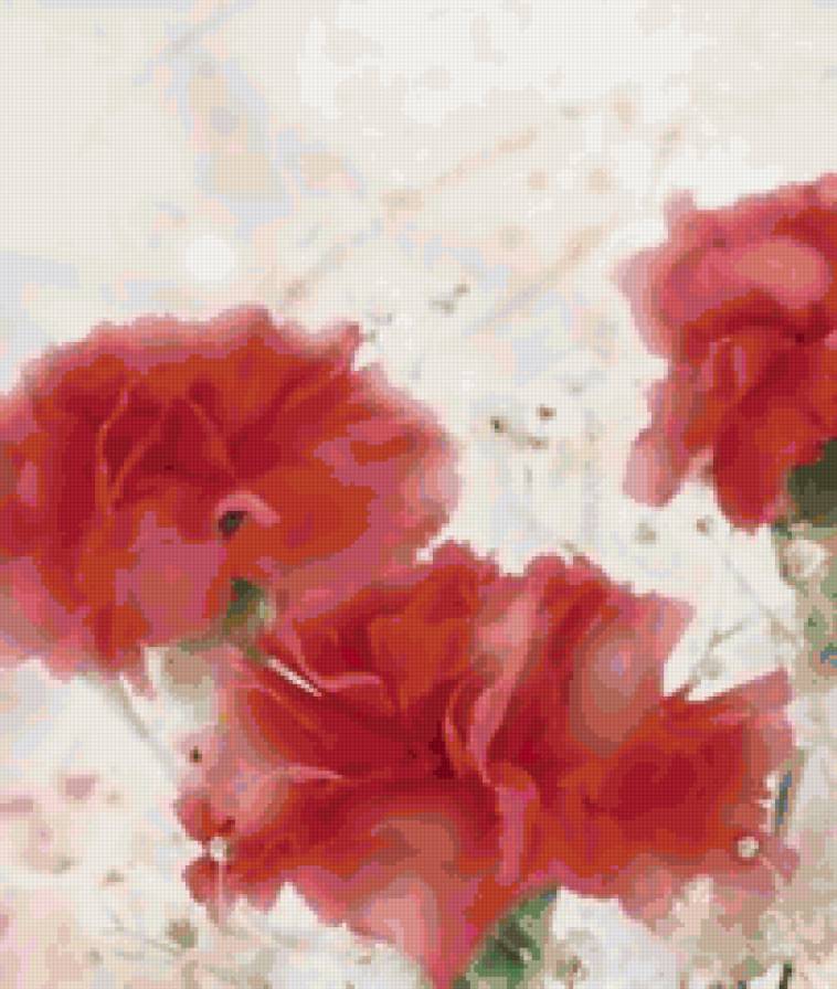 гвоздики - гвоздики, цветы - предпросмотр