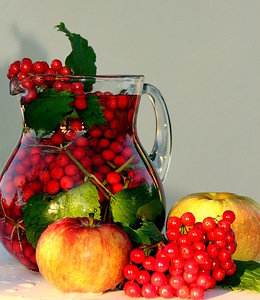 рябиновый компот - яблоки, рябина, фрукты, натюрморт - оригинал