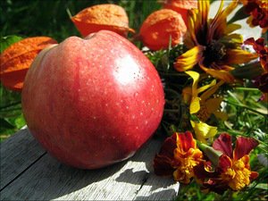 яблоко - натюрморт, физалис, фрукты, яблоки - оригинал