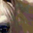 Предпросмотр схемы вышивки «лошади» (№110492)