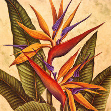 Схема вышивки «№110703»