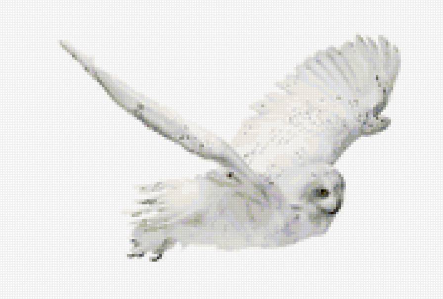 птица - предпросмотр