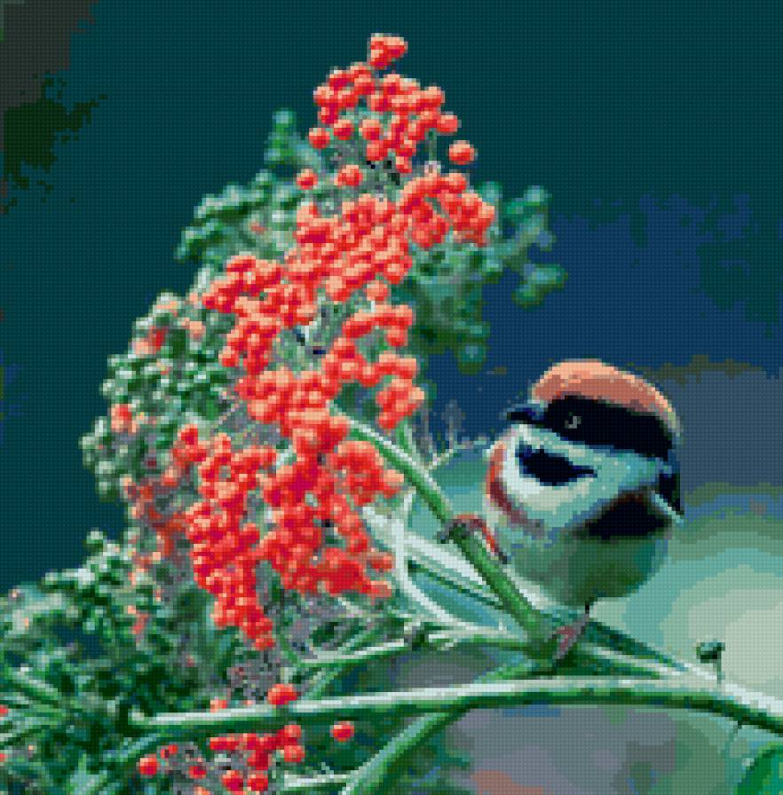 птица - предпросмотр