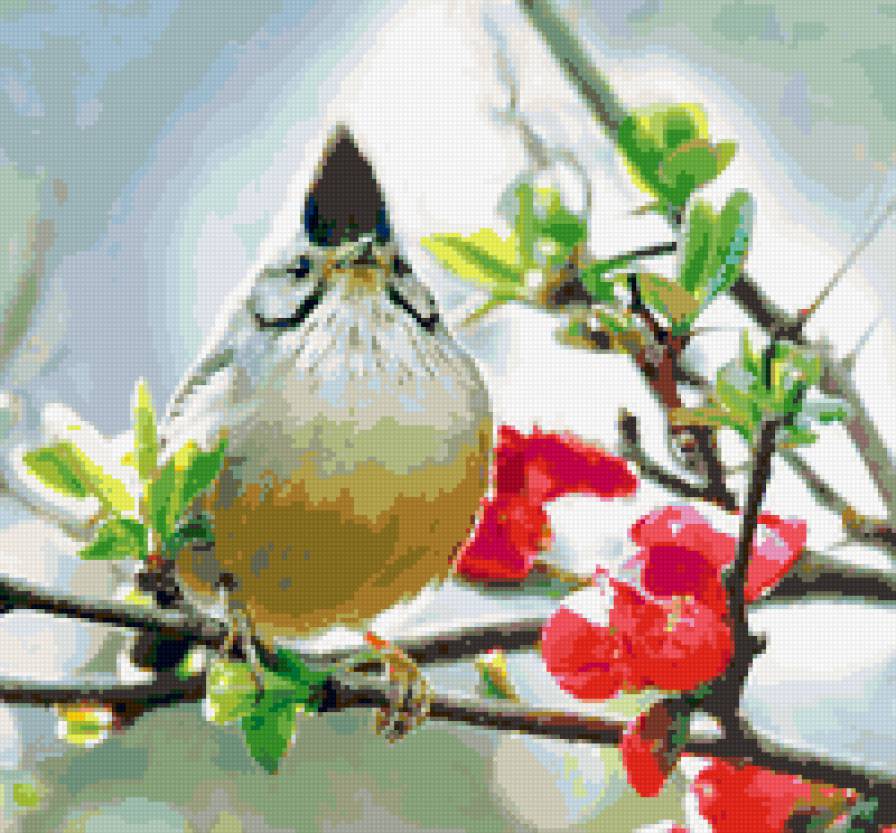 птица - предпросмотр