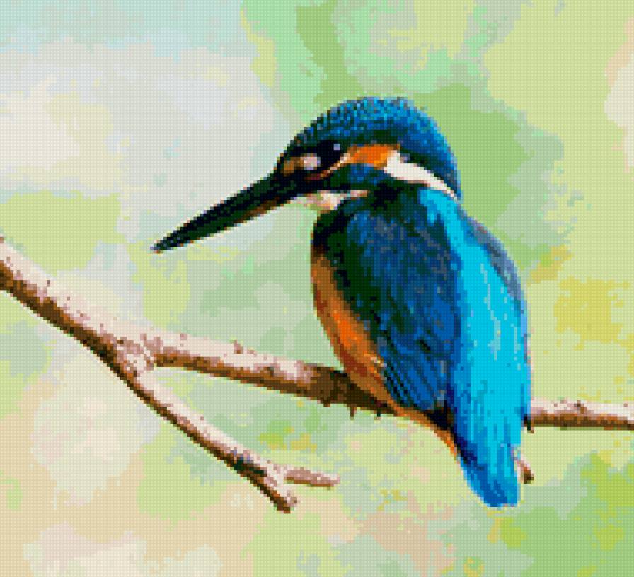 птица - предпросмотр