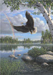 орёл 1\3 - орел, вода, дерево, река, пейзаж, природа, радуга, камни - оригинал