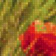 Предпросмотр схемы вышивки «маки» (№110986)