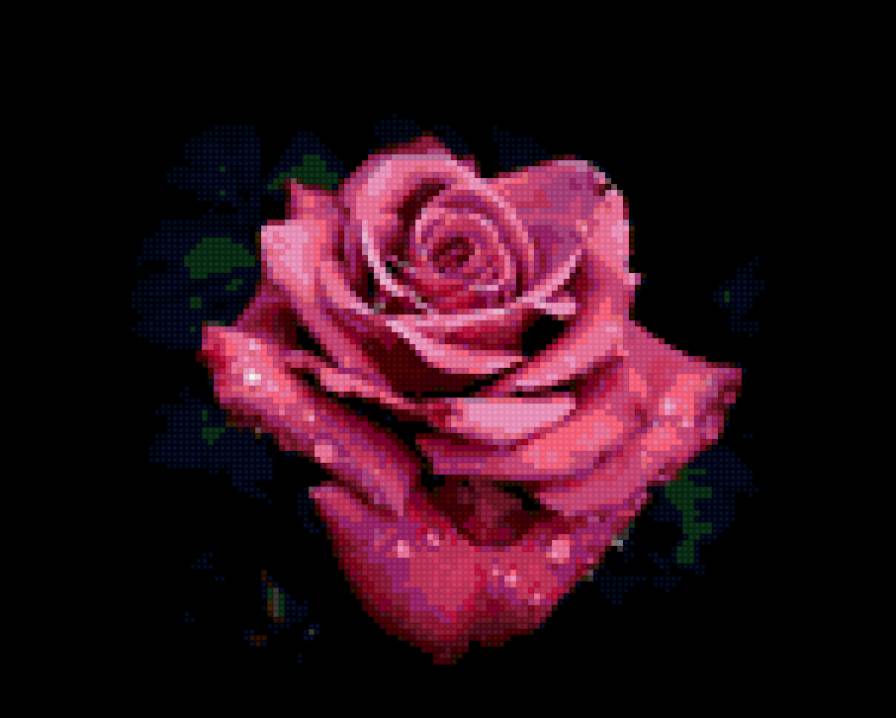 роза - цветы, розовая роза - предпросмотр