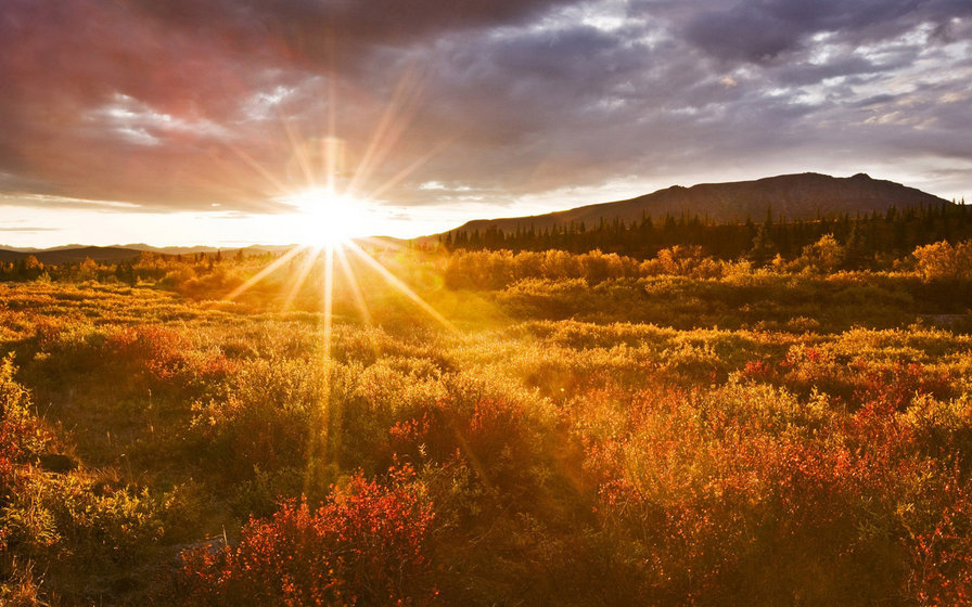 №111045 - искусство, картина, живопись, природа, закат - оригинал