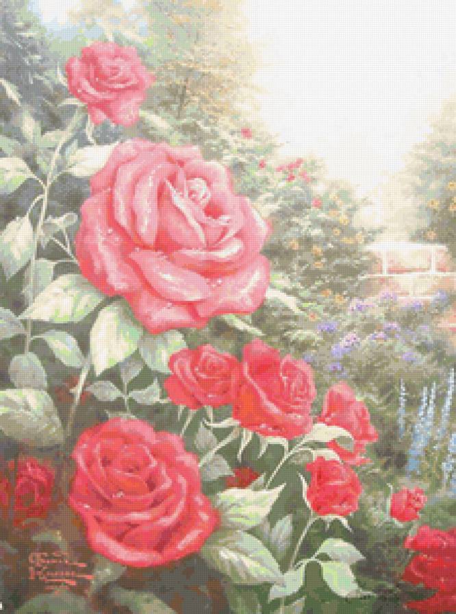 Розочки с саду)) - розочки, розы, flowers, цветы - предпросмотр