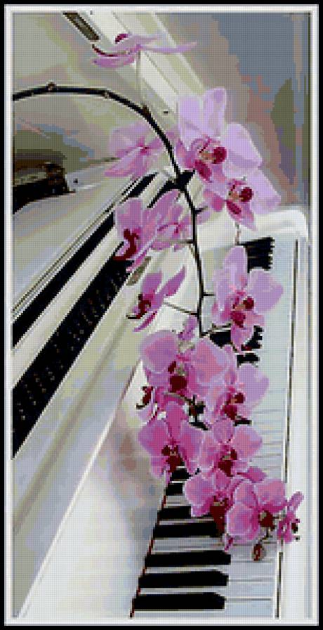 Ветка орхидеии на клавишах рояля - цветы, рояль, орхидея - предпросмотр