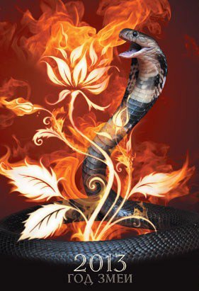 год змеи - змея, огненный цветок, 2013 - оригинал