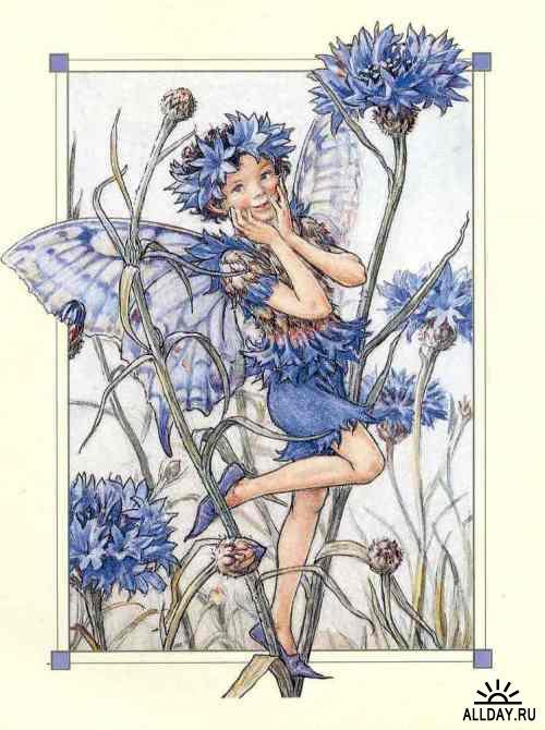 Эльф и васильки - цветы, ребенок, эльф - оригинал