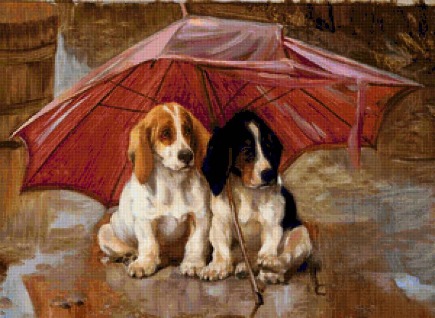 двое под зонтом - зонт, собаки, дождь - предпросмотр