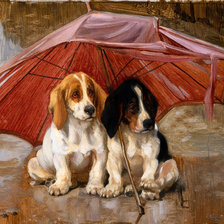 двое под зонтом