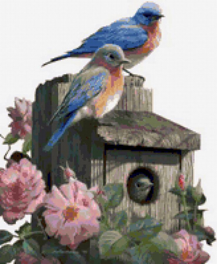 птички - природа, птицы - предпросмотр