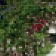 Предпросмотр схемы вышивки «терраса с розами» (№111729)