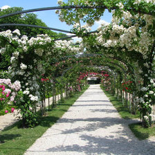 Схема вышивки «терраса с розами»