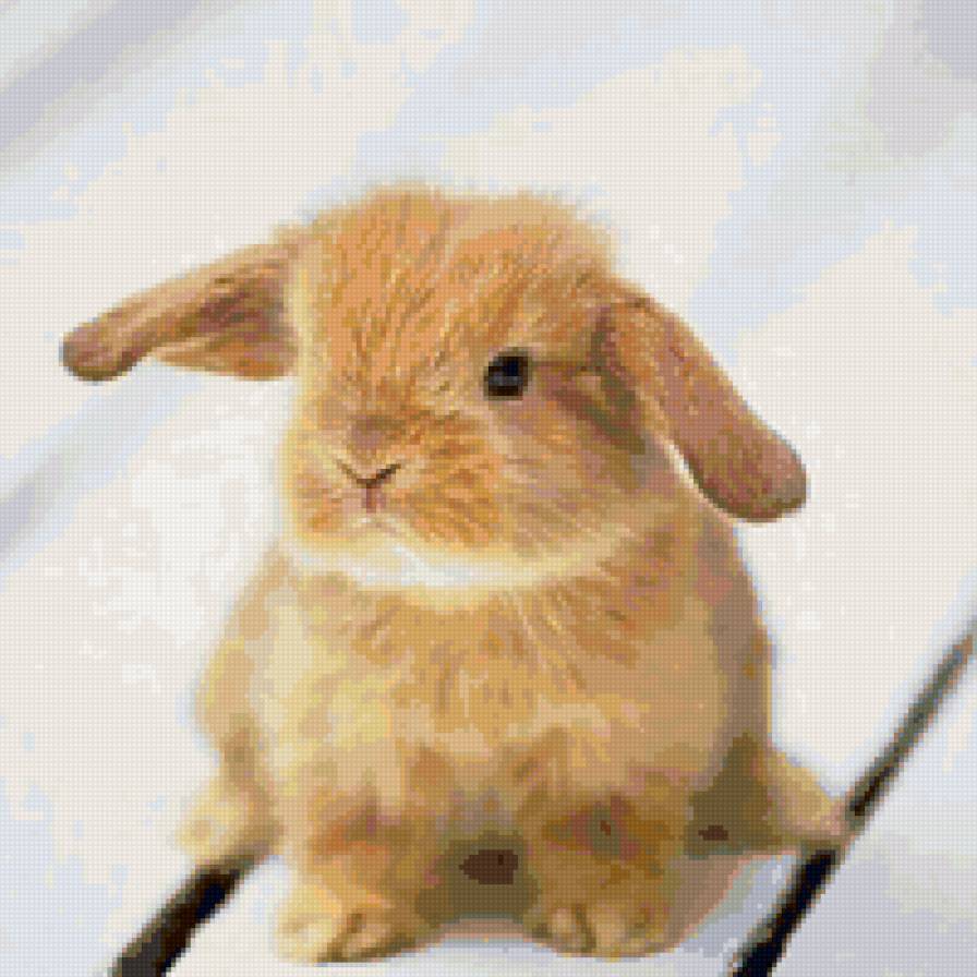 Зайка - заяц, зайка, животные - предпросмотр