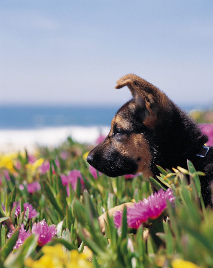 №111990 - оригинал