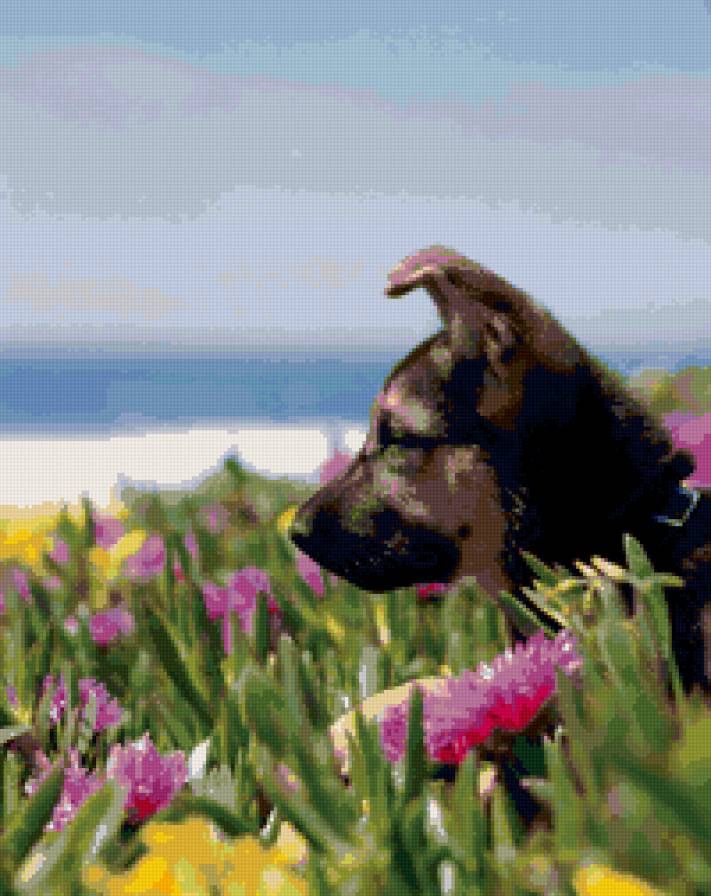 №111990 - предпросмотр