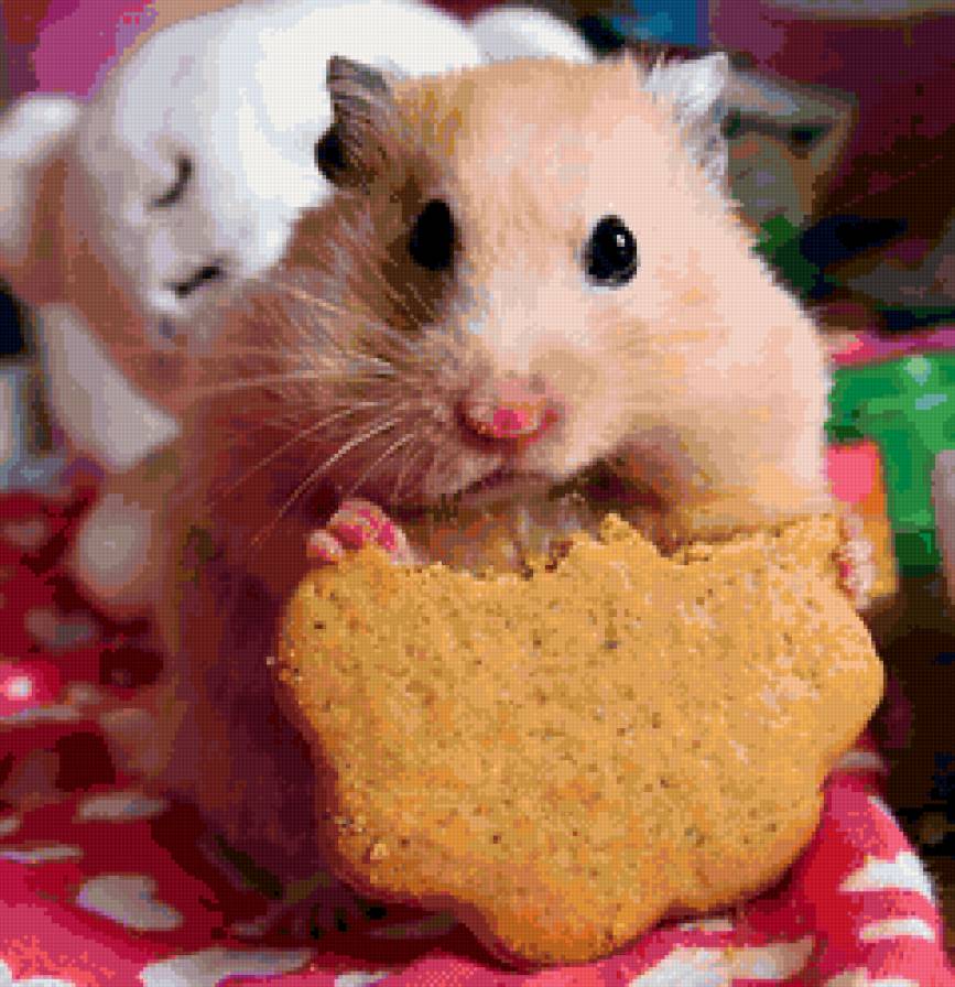 №111992 - предпросмотр