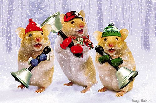 №111993 - оригинал